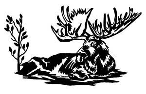 free dxf file welcome horse head